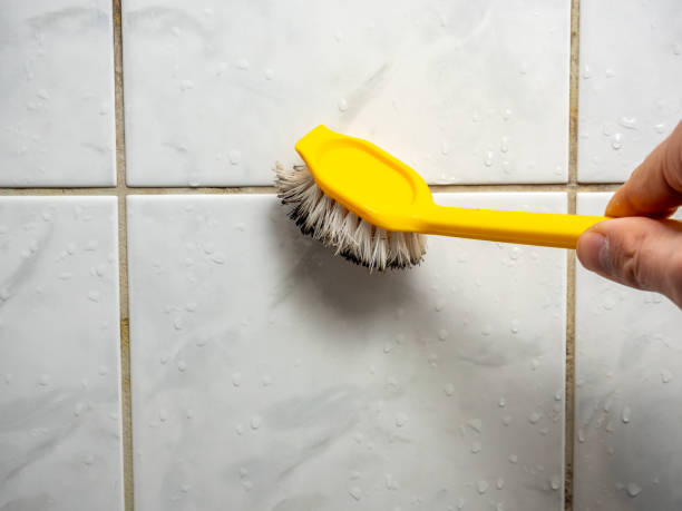 Best Black Mold Removal  in Kingston, IL