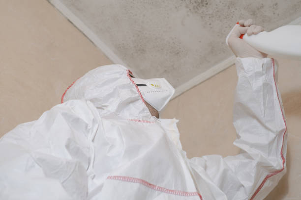 Best Fast Mold Removal  in Kingston, IL