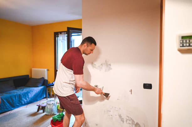 Best Crawl Space Mold Removal  in Kingston, IL